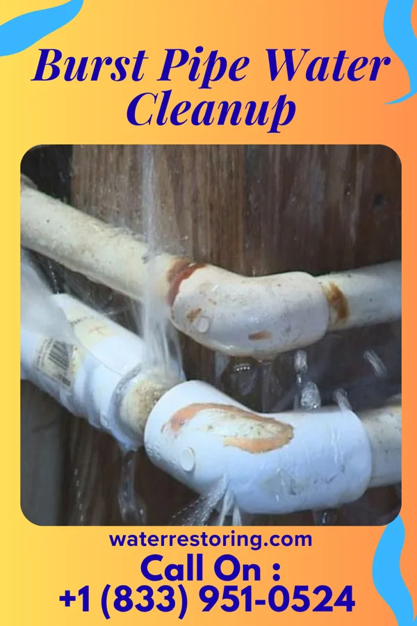 Burst Pipe Water Cleanup in Blairsburg, IA
