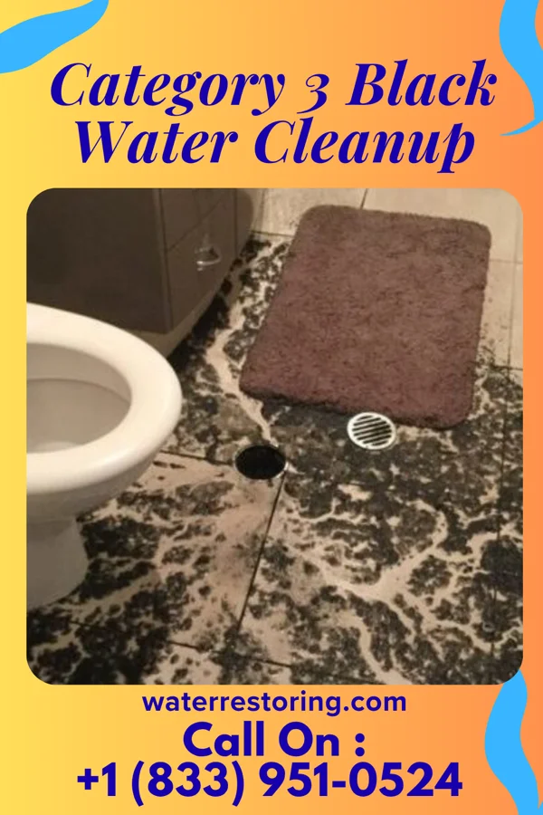 Category 3 Black Water Cleanup in Blairsburg, IA