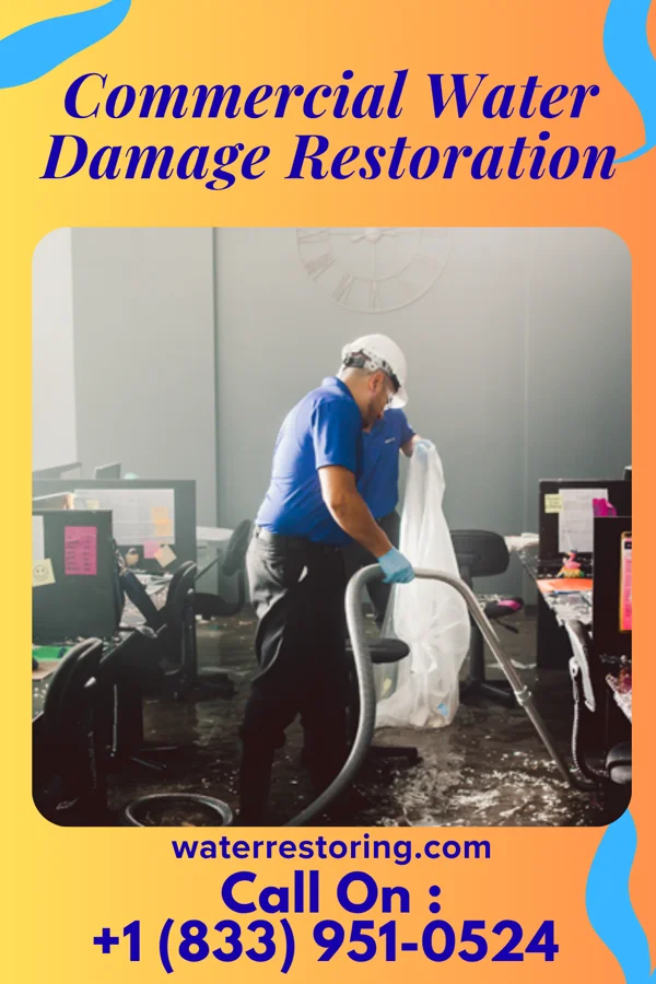 Commercial Water Damage Restoration in Blairsburg, IA