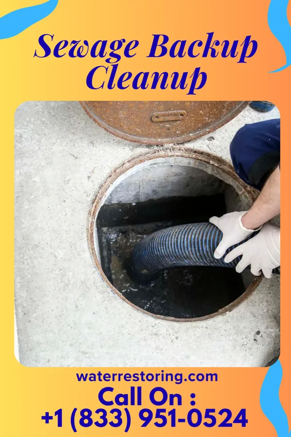 Sewage Backup Cleanup in Blairsburg, IA
